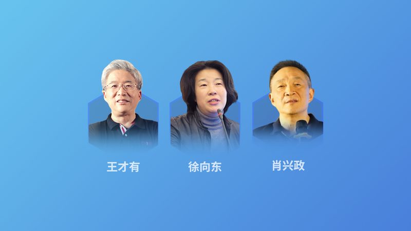 脾胃调理：刮痧拔罐的奥秘与价格考量**
